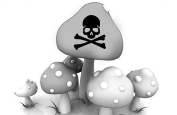 预防误食毒蘑菇中毒 这些你该知道